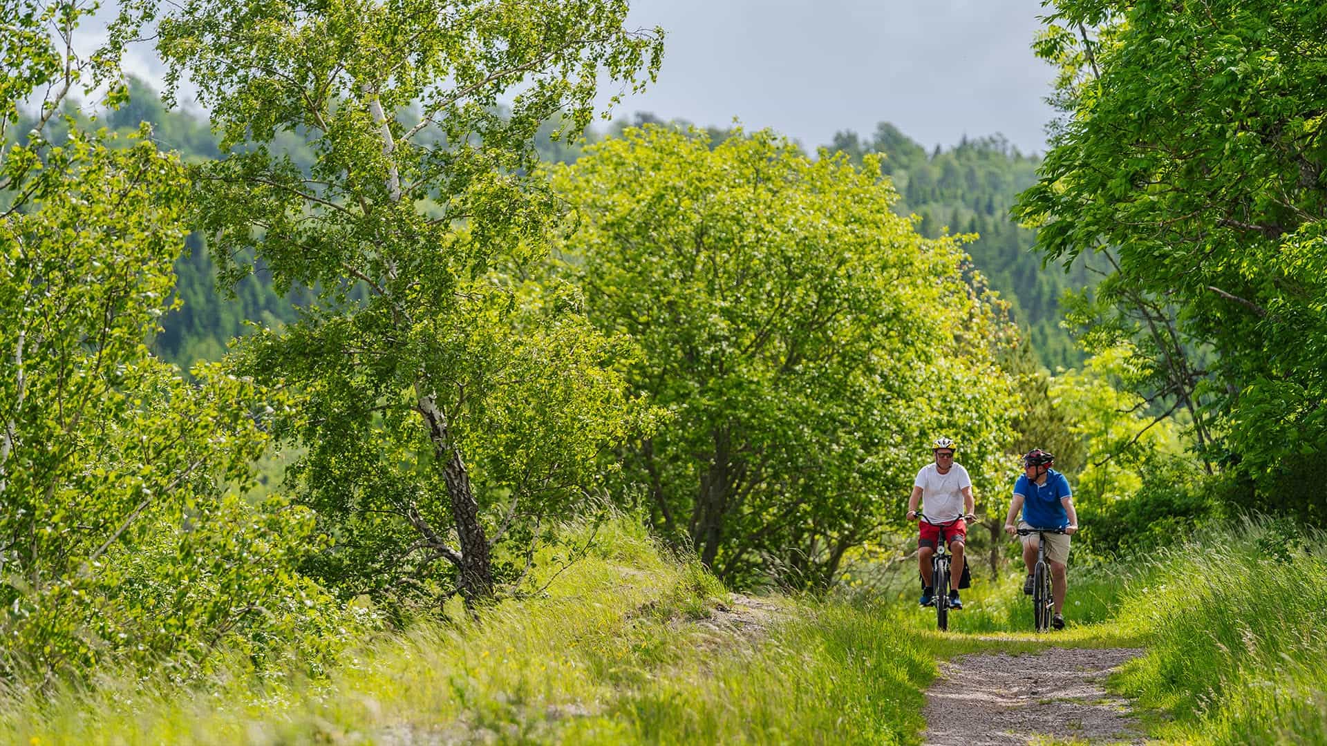 Two persons riding bicycles on a gravel road
