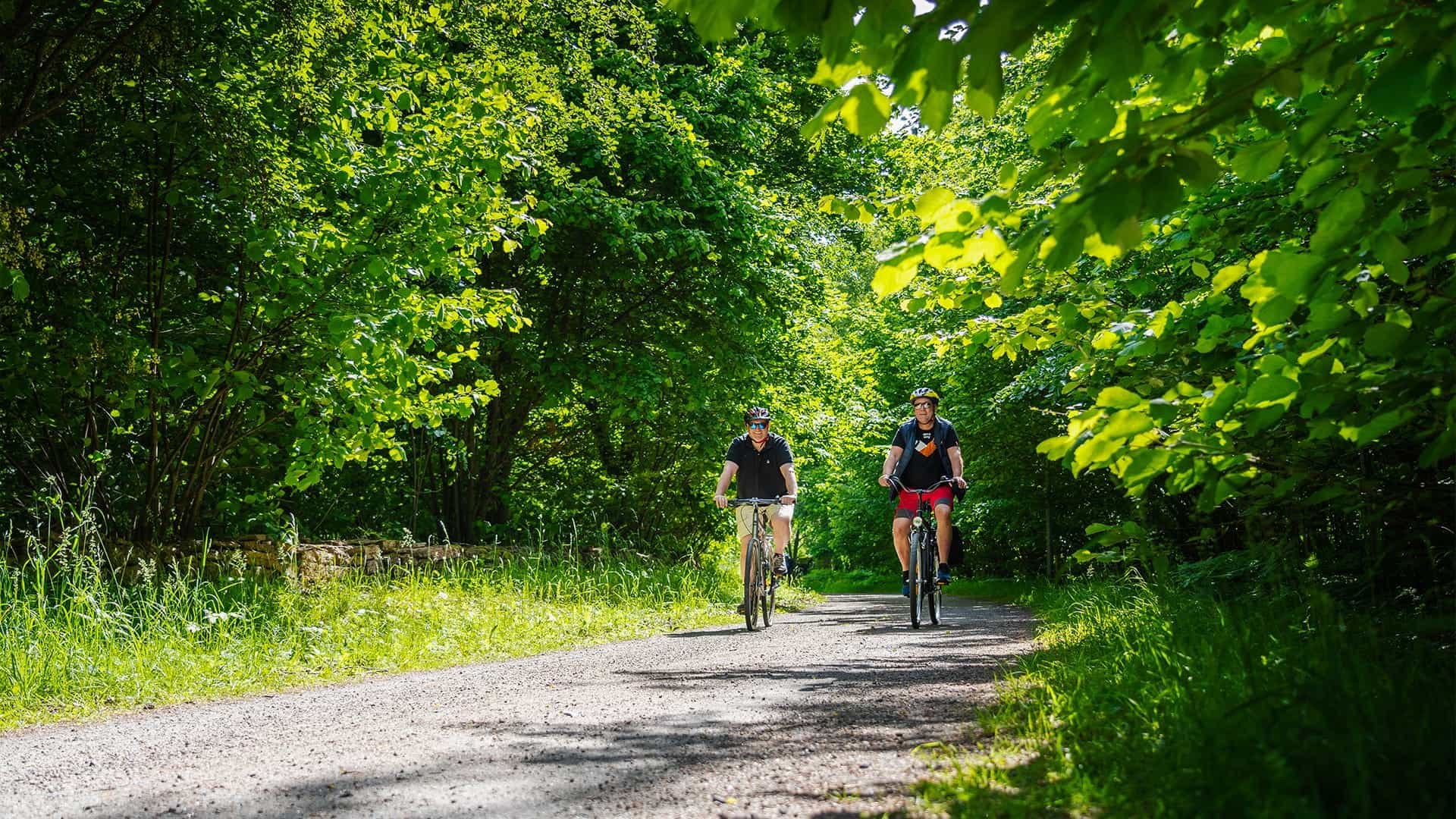 Two men bicycling in nature during summer