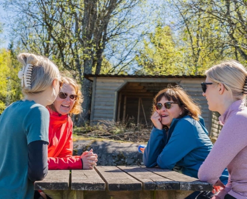 Four women laughing in a sunny outdoor environment