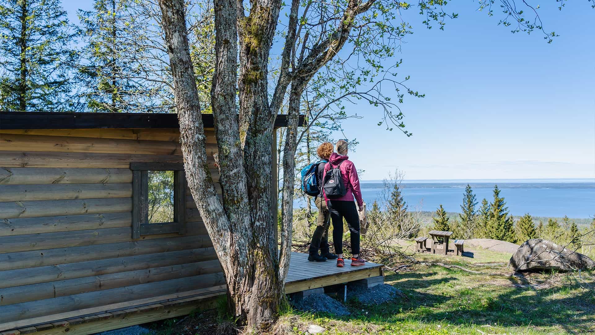 Persons looking out over Lake Vänern