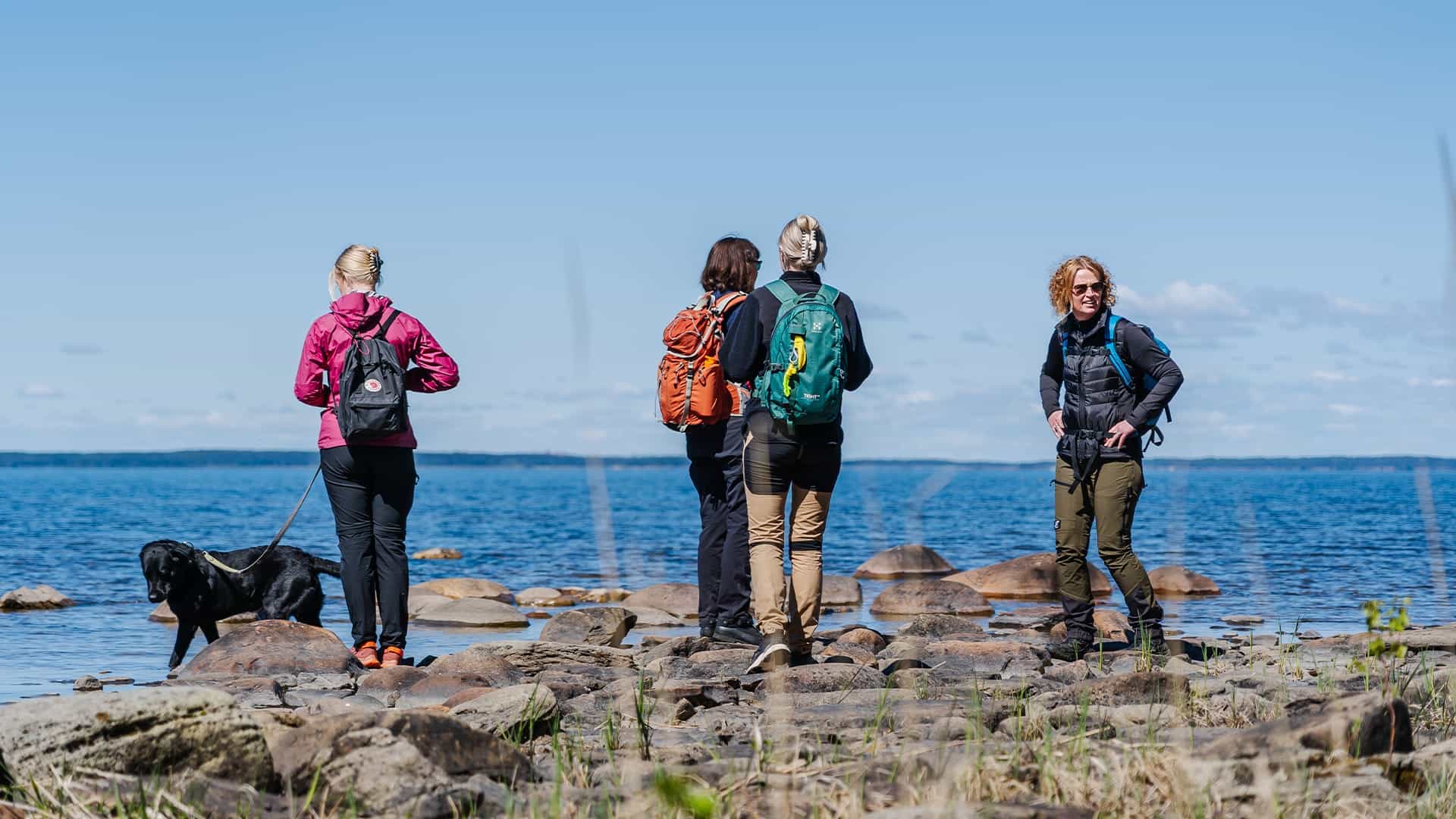 People and a dog out hiking by Lake Vänern