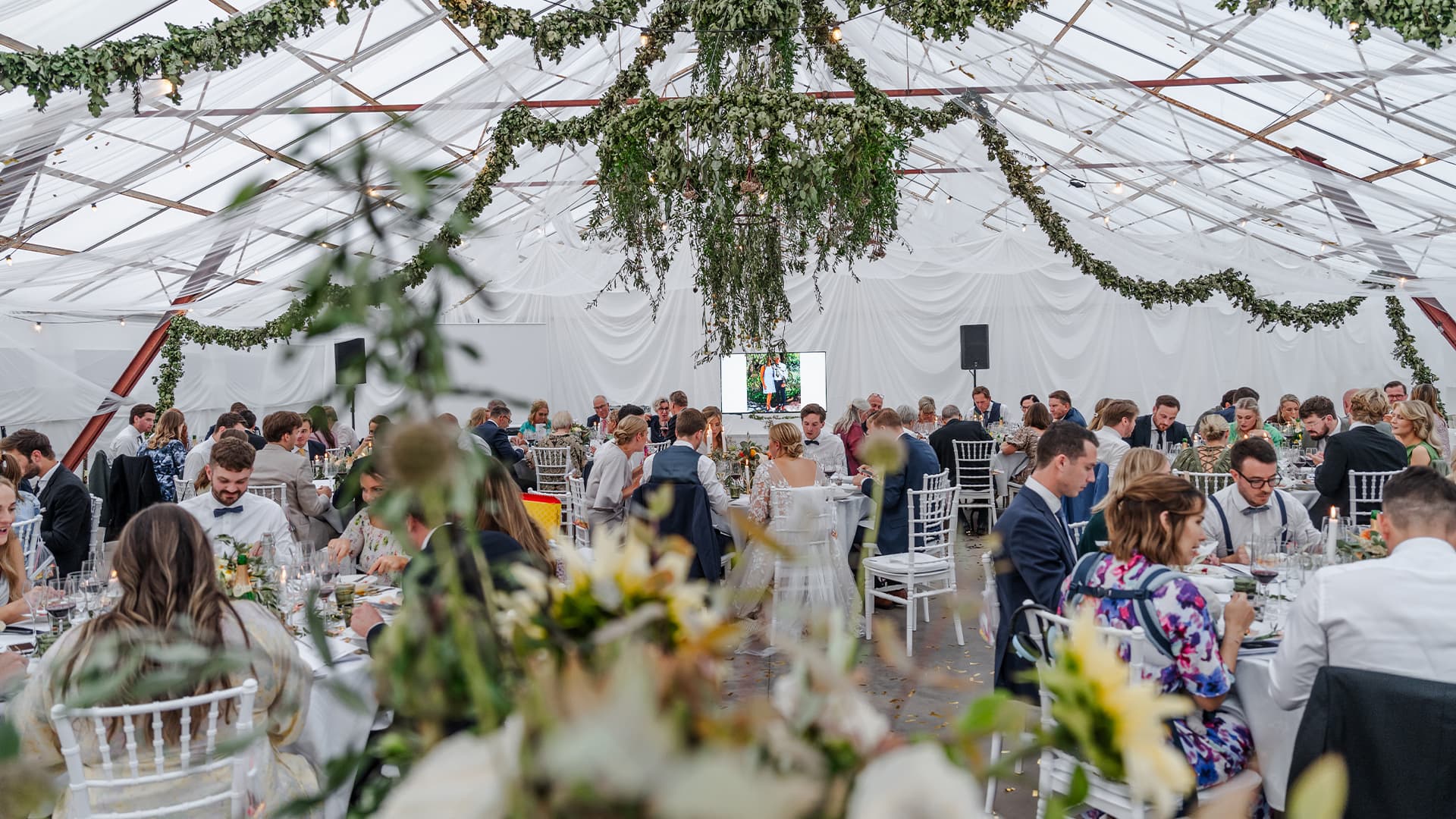 wide shot of wedding dinner