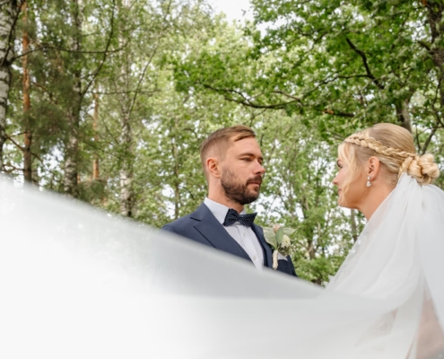 bride and groom in the forest